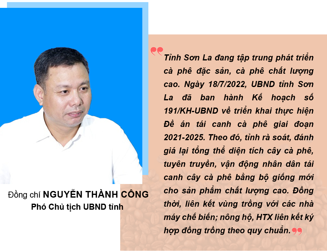 Cà phê Sơn La - Hành trình tạo nên thương hiệu