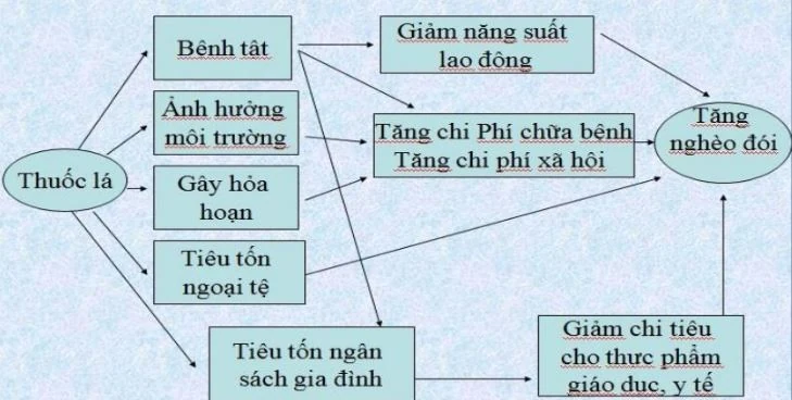 Bộ Giáo dục và Đào tạo đưa phòng chống thuốc lá vào chương trình bậc THPT