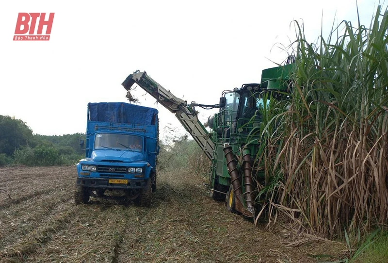 Ứng dụng cơ giới hóa rộng rãi trong trồng trọt