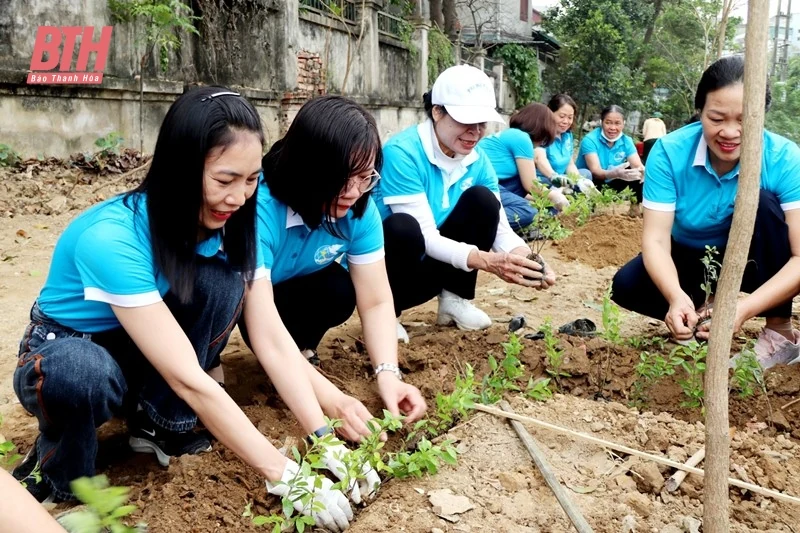 Hội LHPN TP Thanh Hóa phát động hưởng ứng Tết trồng cây đời đời nhớ ơn Bác Hồ