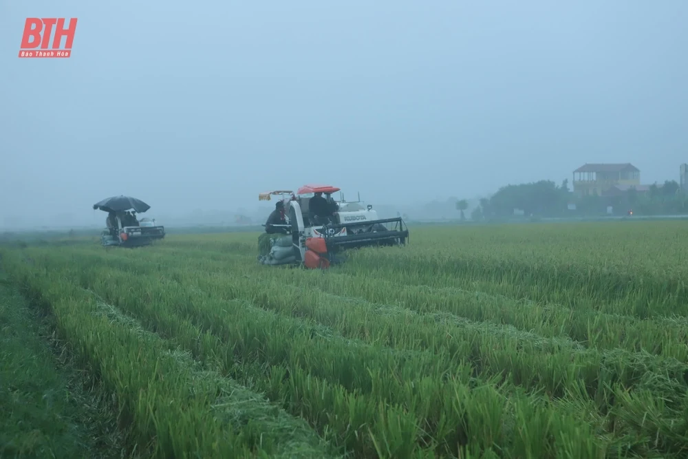Phó trưởng Ban Tổ chức Trung ương Đỗ Trọng Hưng kiểm tra công tác ứng phó với bão số 3 tại các huyện Triệu Sơn và Thọ Xuân