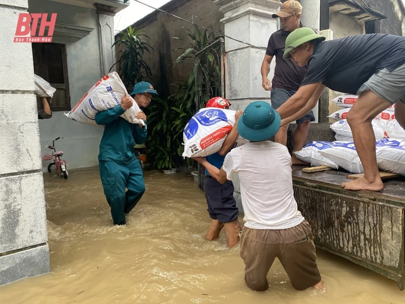 Hậu Lộc: Di dời gần 300 nhân khẩu sinh sống trên tuyến đê sông Lèn, sông Lạch Trường