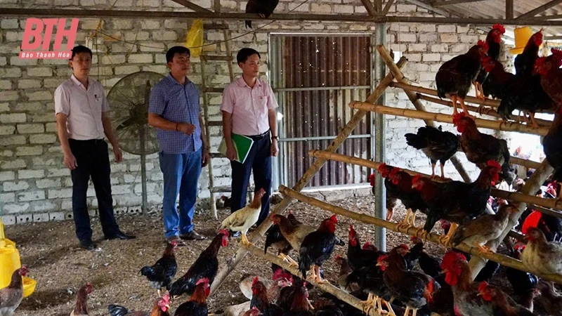 Như Thanh và chặng nước rút về đích NTM