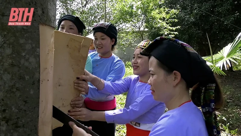 Thường Xuân nỗ lực phát triển kinh tế, giảm nghèo bền vững