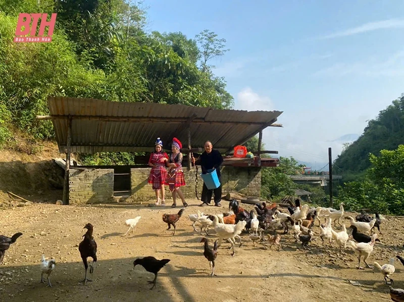 Ánh sáng của Đảng về nơi link m88 xa (Bài cuối): Sức sống mới ở vùng đồng bào Mông