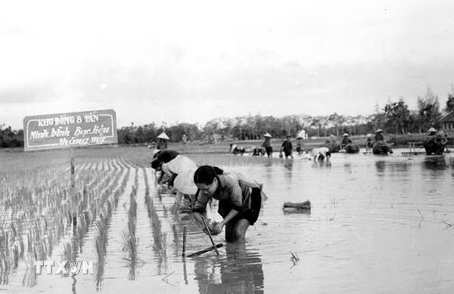 Cuộc Tổng tiến công mùa Xuân 1975 - biểu tượng rực rỡ của tinh thần đại đoàn kết