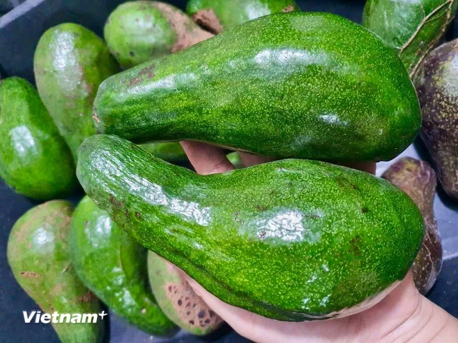 Những loại trái cây người bệnh mỡ máu nên ăn hằng ngày
