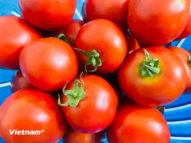 Những loại trái cây người bệnh mỡ máu nên ăn hằng ngày