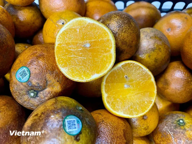 Những loại trái cây người bệnh mỡ máu nên ăn hằng ngày