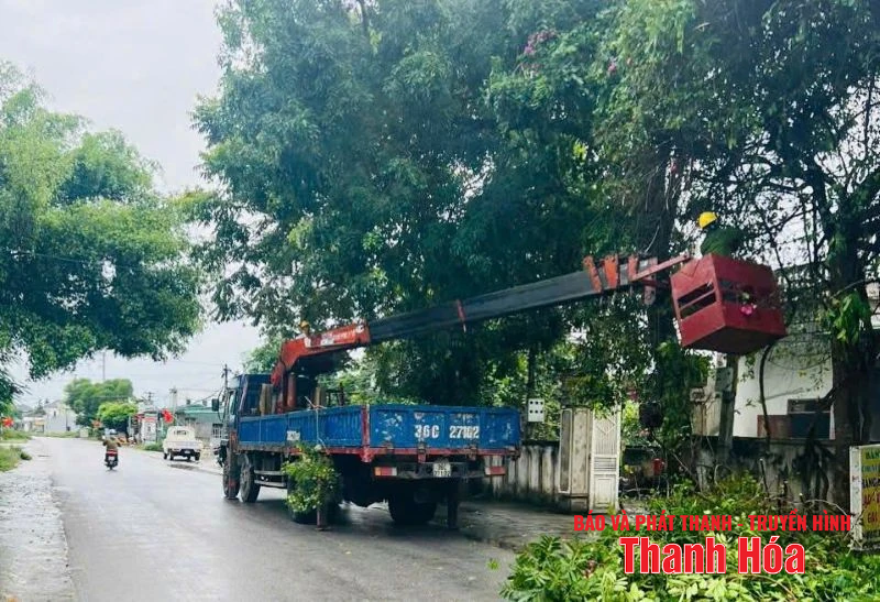 Phường Nam Sầm Sơn chủ động phòng tránh bão số 3