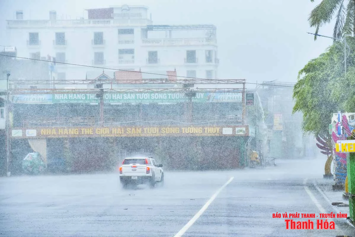 Sóng biển dâng cao, mưa ngút trời khi bão Wipha áp sát đất liền