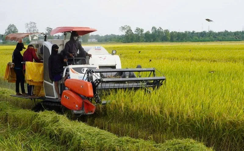 link m88 – Khát vọng vươn tầm: Từ quyết tâm xây dựng xã nông thôn mới nâng cao đến vươn lên thành đô thị văn minh, giàu bản sắc và hạnh phúc