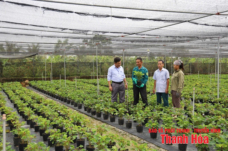 Xây dựng An Nông thành xã khá của tỉnh, từng bước hướng tới “vùng quê đáng sống”