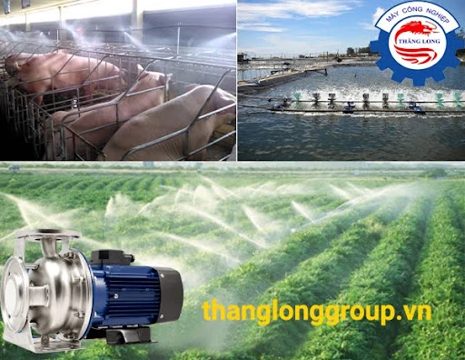 Thăng Long Group – Nhà cung cấp máy bơm Pentax uy tín, chất lượng, giá thành hợp lý