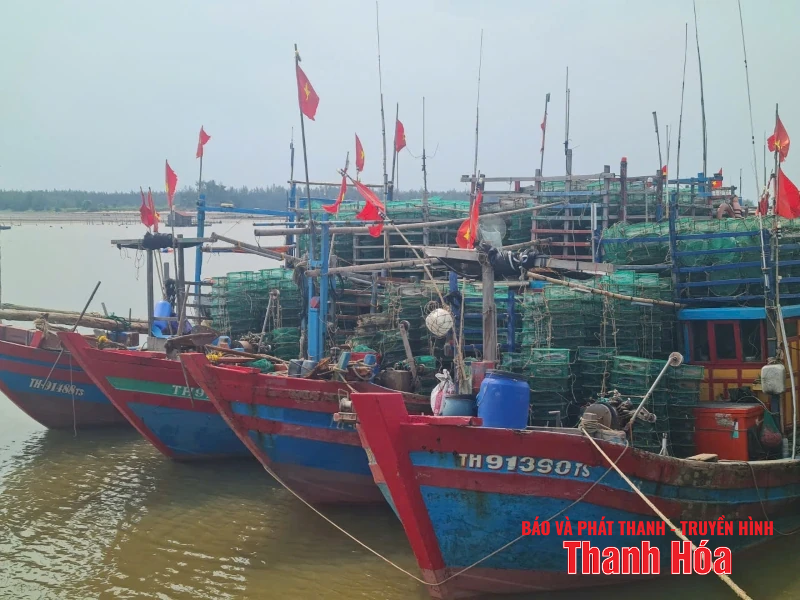 Phường Ngọc Sơn chủ động ứng phó với bão số 5