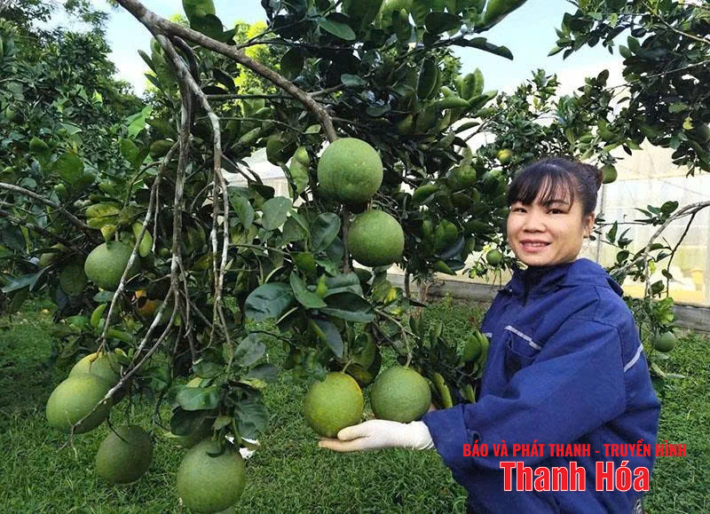 Tân Thành vững bước trên hành trình mới
