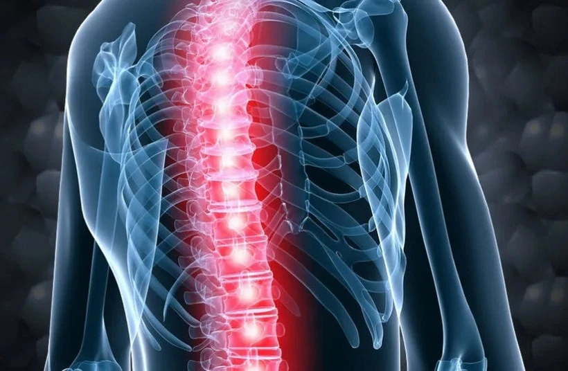 Israel chuẩn bị ca cấy ghép tủy sống đầu tiên trên thế giới bằng tế bào tự thân