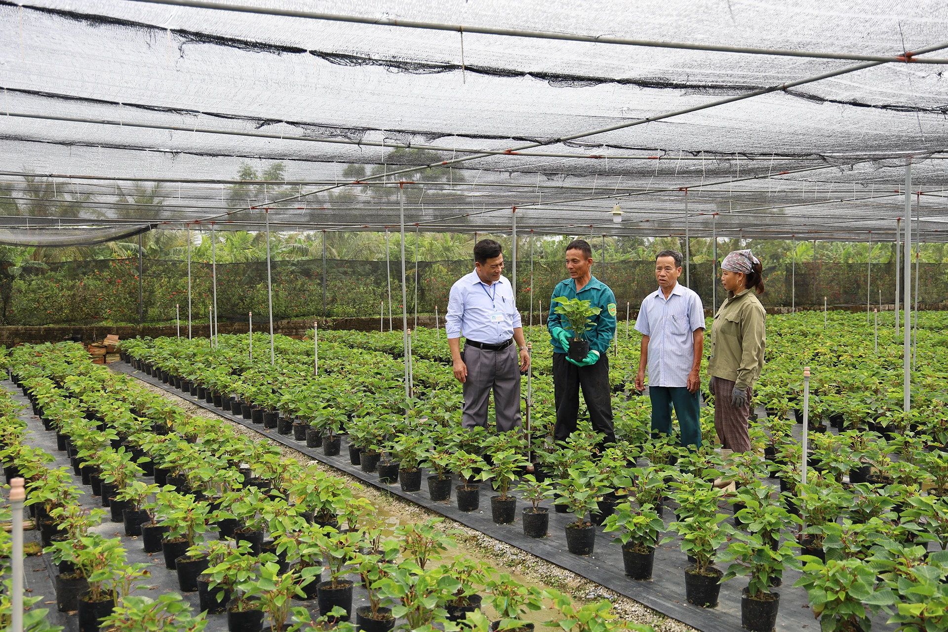 Xây dựng An Nông thành xã khá của tỉnh, từng bước hướng tới “vùng quê đáng sống”