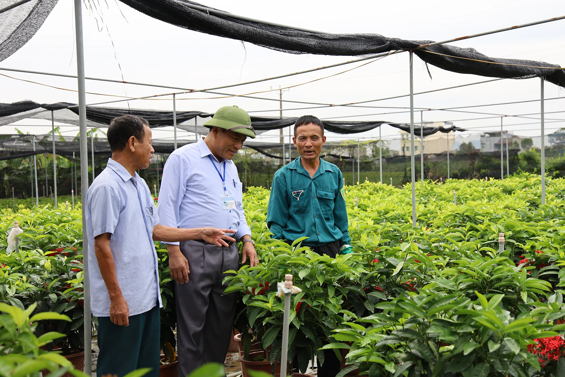 Xây dựng An Nông thành xã khá của tỉnh, từng bước hướng tới “vùng quê đáng sống”