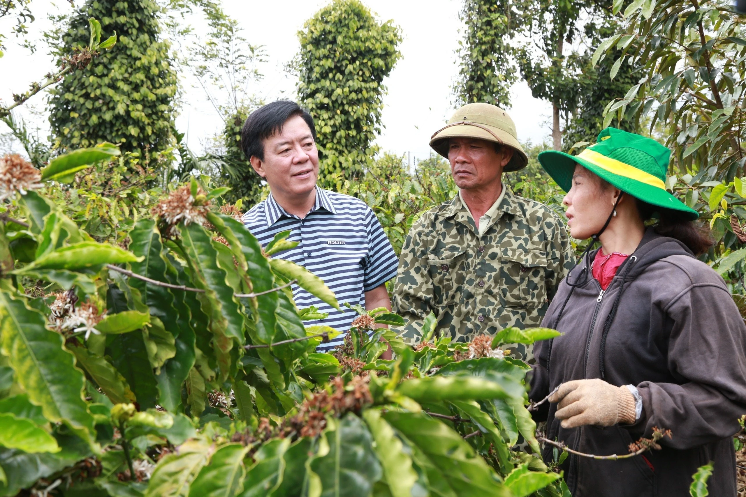 Bình Điền - Hành trình hơn nửa thế kỷ phụng sự nông dân và tầm nhìn tiên phong xanh hóa - số hóa