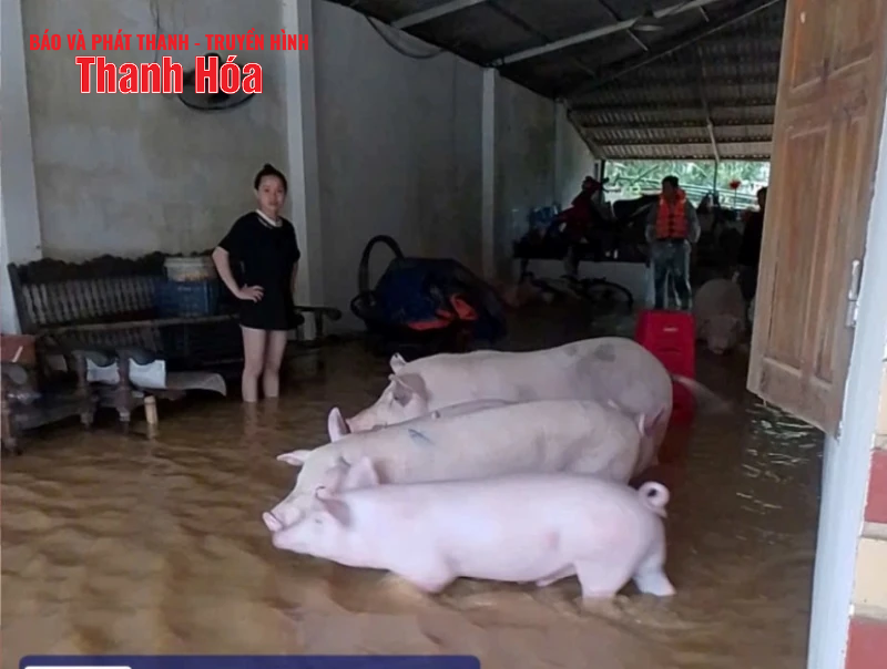 Cán bộ, hội viên phụ nữ xung kích trong chống bão, phục vụ hậu cần