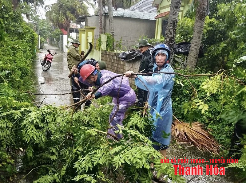 Nhiều tuyến đường bị ngập lụt cục bộ, cây xanh gãy đổ