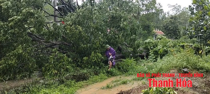 Nhiều tuyến đường bị ngập lụt cục bộ, cây xanh gãy đổ