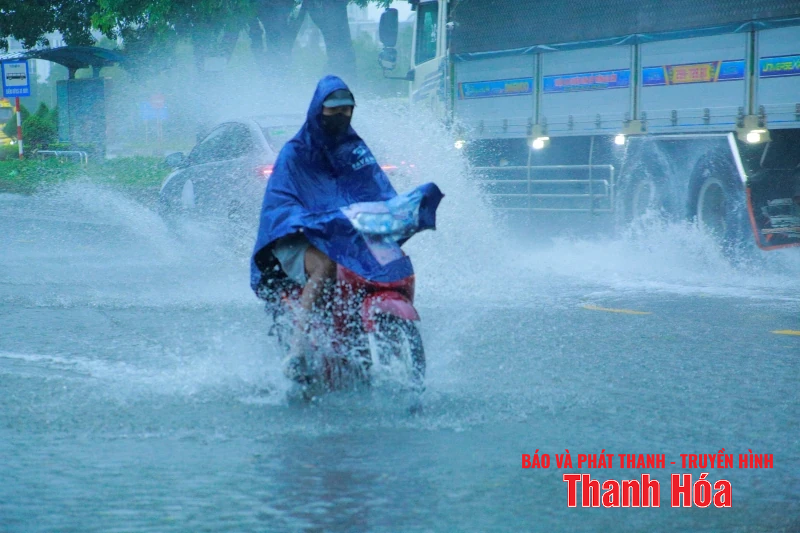 Nhiều tuyến đường bị ngập lụt cục bộ, cây xanh gãy đổ