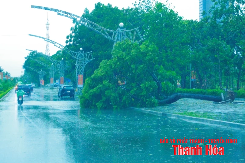 Nhiều tuyến đường bị ngập lụt cục bộ, cây xanh gãy đổ