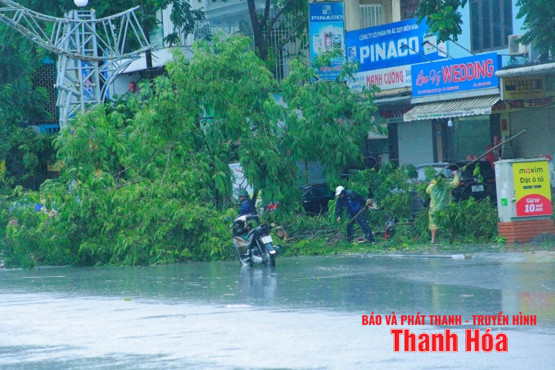 Nhiều tuyến đường bị ngập lụt cục bộ, cây xanh gãy đổ