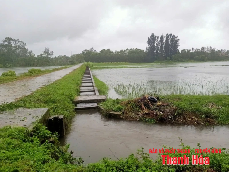 [Cập nhật] - Ngập lụt, chia cắt cục bộ; bước đầu ghi nhận nhiều thiệt hại về nhà cửa, hoa màu
