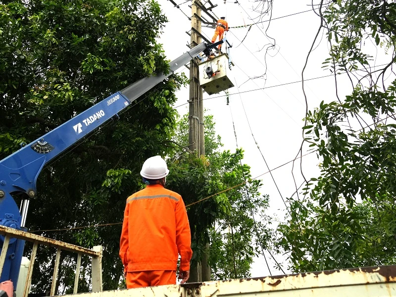 Công đoàn Điện lực Việt Nam thăm, động viên người lao động khắc phục sự cố sau bão số 5