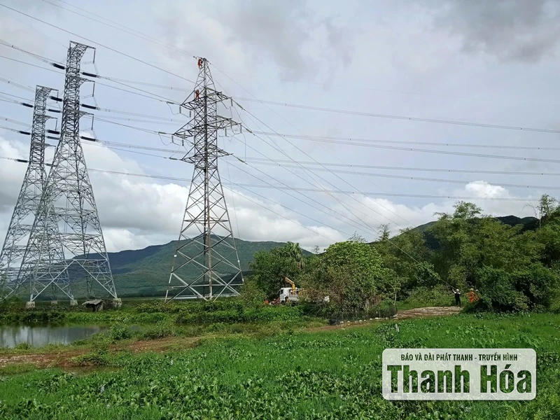 Đã cấp điện lại cho toàn bộ khách hàng ở khu vực không bị ngập nước, chia cắt
