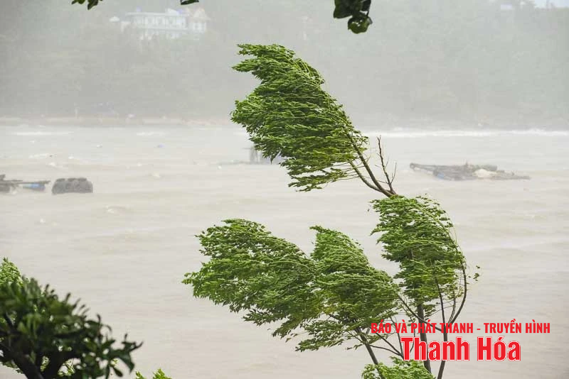 Vùng biển Thanh Hóa bắt đầu mưa to, gió mạnh trước khi bão số 5 đổ bộ
