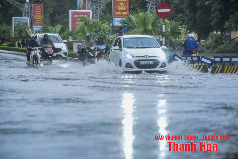 Cây xanh gãy đổ, nhiều tuyến phố ngập úng sau bão số 5
