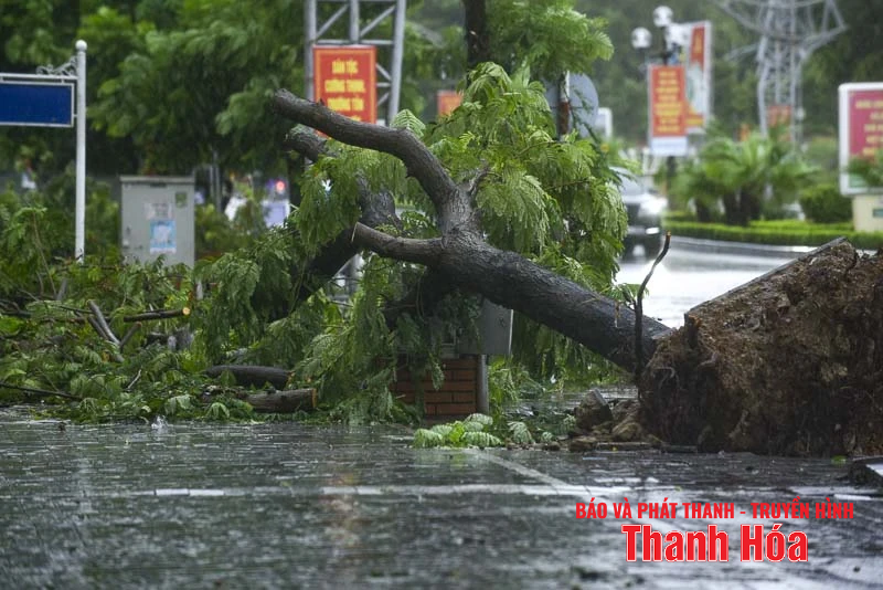 Cây xanh gãy đổ, nhiều tuyến phố ngập úng sau bão số 5