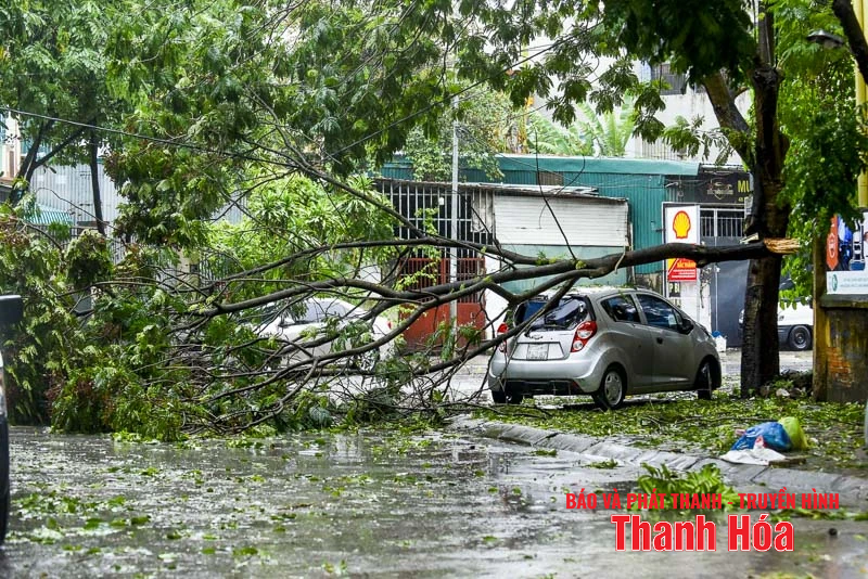 Cây xanh gãy đổ, nhiều tuyến phố ngập úng sau bão số 5