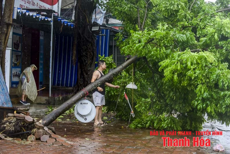Cây xanh gãy đổ, nhiều tuyến phố ngập úng sau bão số 5