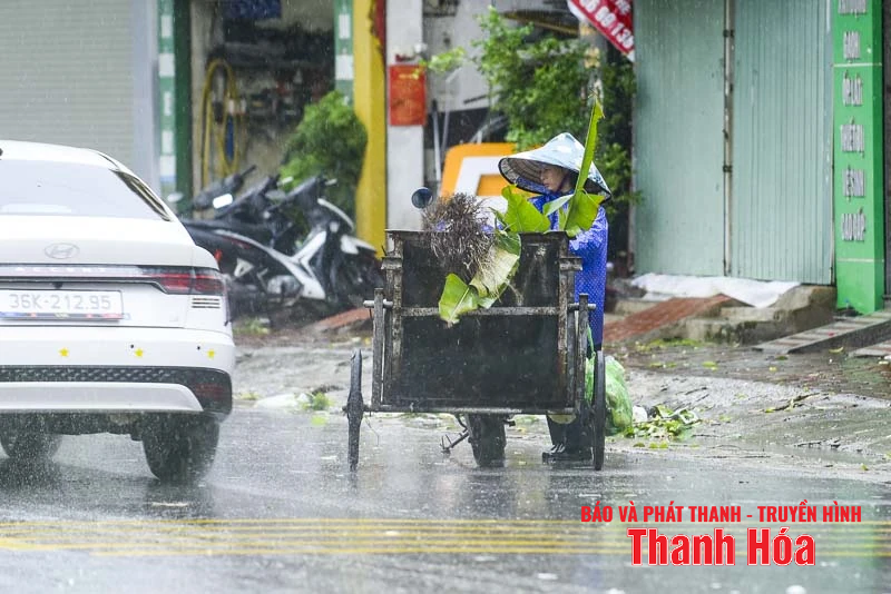Cây xanh gãy đổ, nhiều tuyến phố ngập úng sau bão số 5
