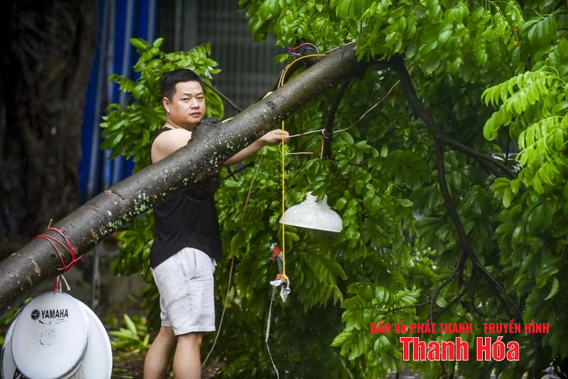 Cây xanh gãy đổ, nhiều tuyến phố ngập úng sau bão số 5