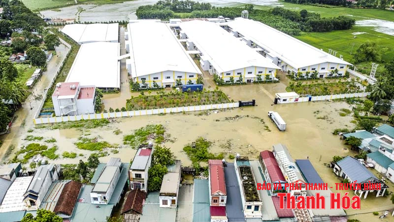 Nước lũ lên nhanh, nhiều hộ dân Thường Xuân mất trắng tài sản