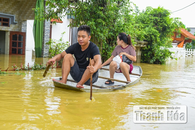 Hàng trăm ngôi nhà ở Hà Trung chìm trong nước, dân sơ tán đồ đạc, vật nuôi lên đê tránh lũ