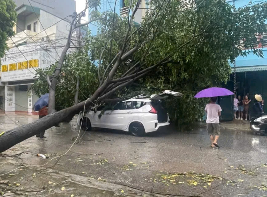 Nhiều tuyến đường bị ngập lụt cục bộ, cây xanh gãy đổ