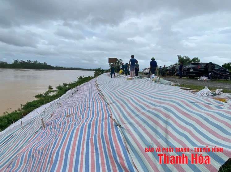 Xã Thọ Xuân tập trung lực lượng xử lý sự cố sạt mái đê