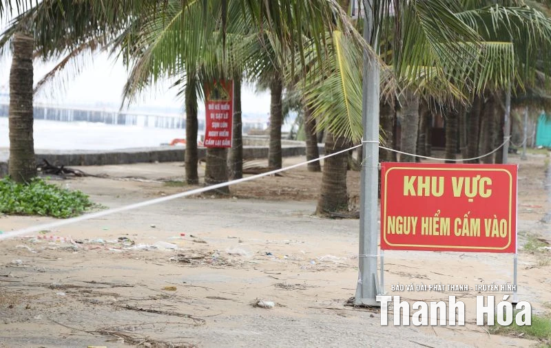 Nghiên cứu phương án khả thi khắc phục tình trạng sạt lở bờ kè Hải Tiến