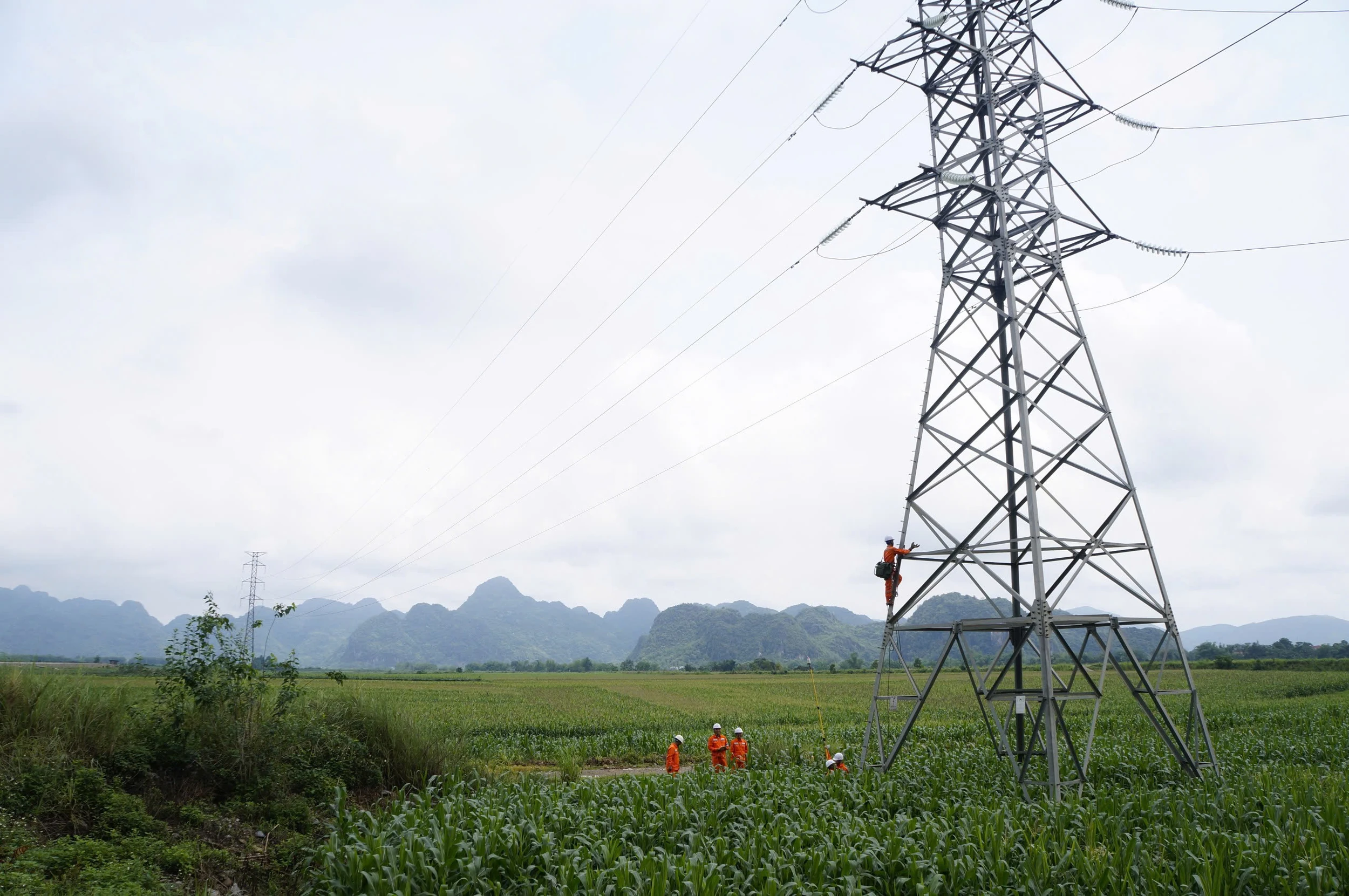 Bài cuối: Đường tới Net Zero, cần cộng đồng trách nhiệm