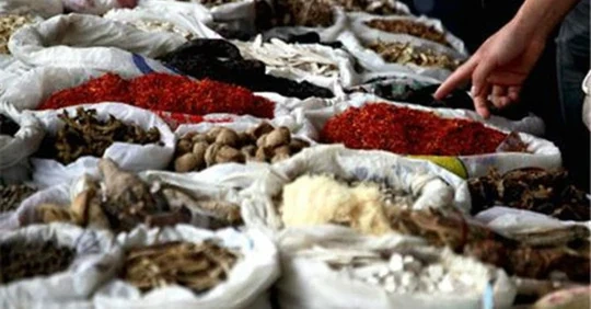 Tăng cường kiểm tra, kiểm soát tình trạng kinh doanh dược liệu giả, không rõ nguồn gốc