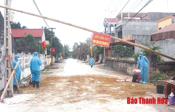 Phòng chống và khắc phục hậu quả dịch tả lợn Châu Phi: Còn đó những nỗi lo