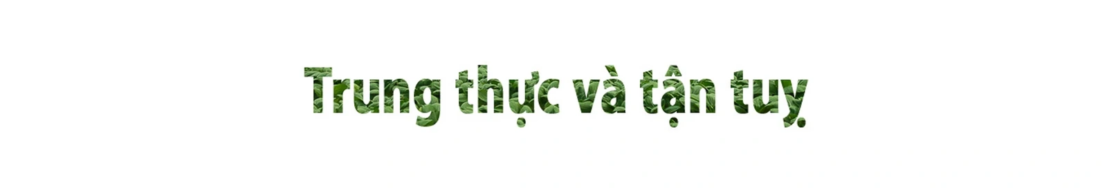 [E-magazine] Ước mơ theo đuổi Nông nghiệp tử tế của CEO xứ Thanh