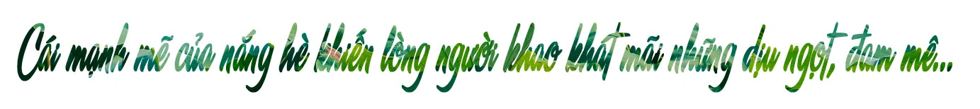 Ru hoa sen
